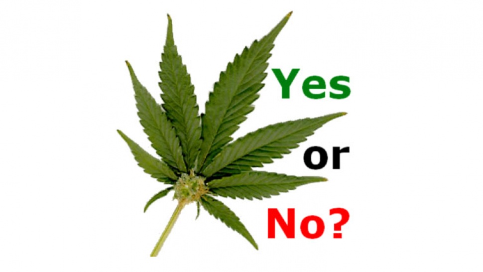 Legalization of marijuana. Yes or no?