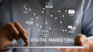 5 Ways a Digital Marketing Agency in Tampa FL Can Grow Your Business