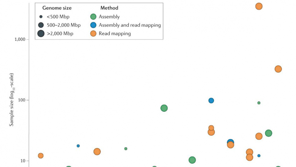 Long-read Sequencing for Population-scale Genomic Study